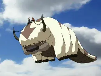 APPA