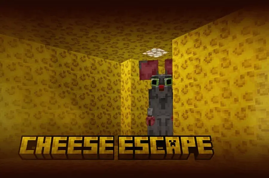 Cheese