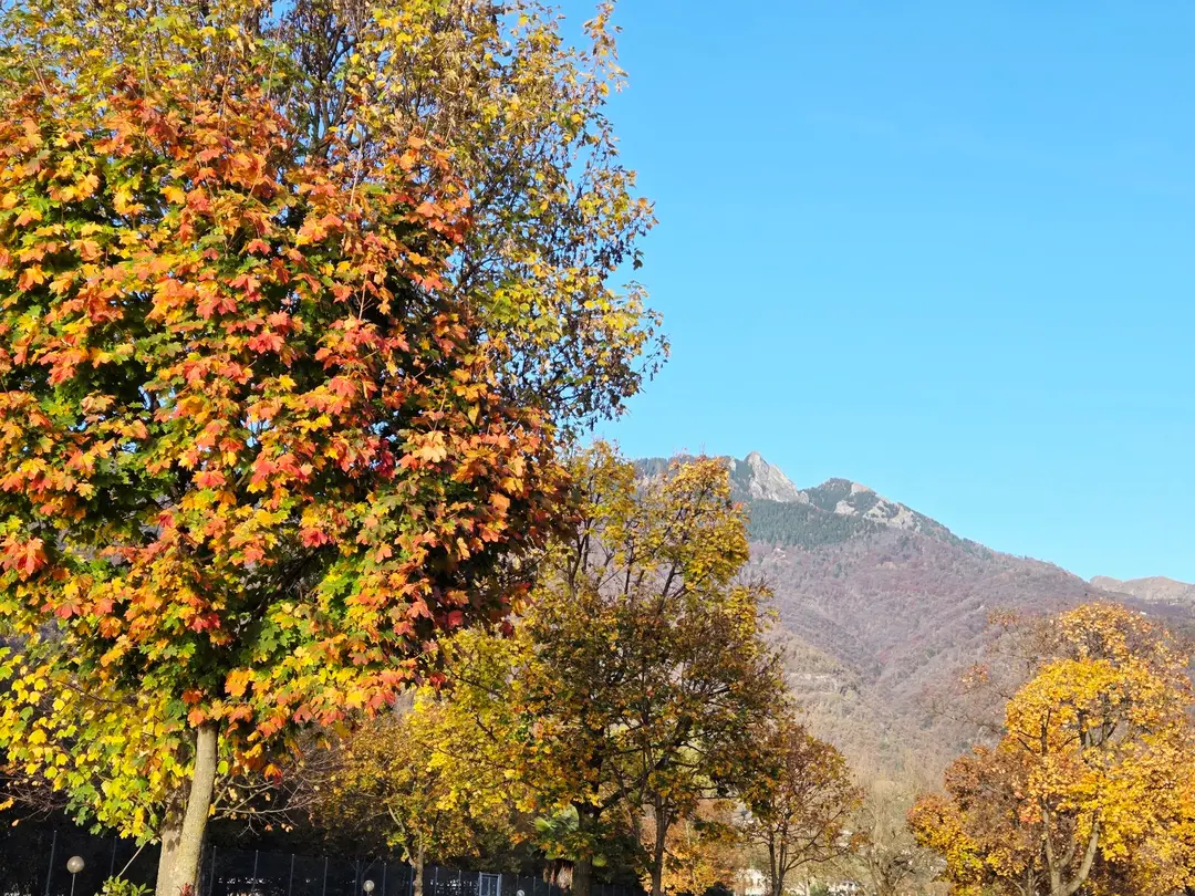 Vibrant Autumn Trees, Mountains