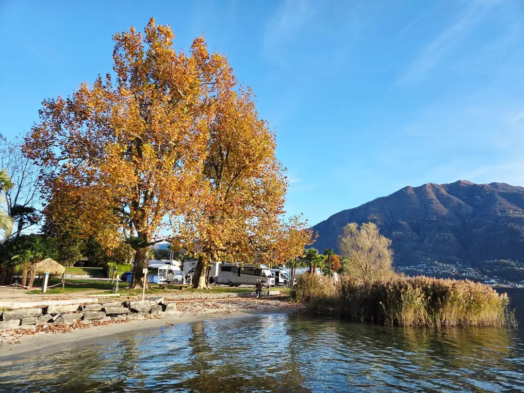Campers by Autumn Lake
